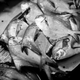 The fish market in Bandra West, Mumbai. Dec 15, 2015